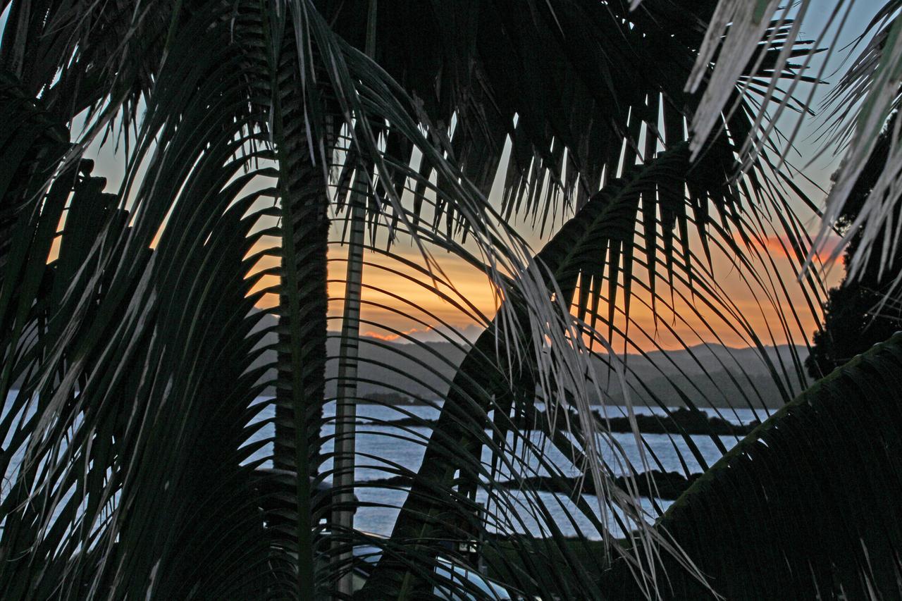 Driftwood Lodge Beachfront, Cable Bay, Northland Coopers Beach Exterior photo